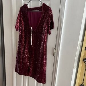 In Bloom Burgundy Sequin Short Sleeve Dress
